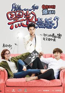 所以和黑粉结婚了在线观看,甜蜜爱情喜剧，甜蜜来袭！  第1张