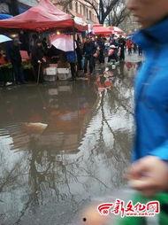 吉林早市最新爆料,探寻地道美食与民间风情 第2张 吉林早市最新爆料,探寻地道美食与民间风情 第2张